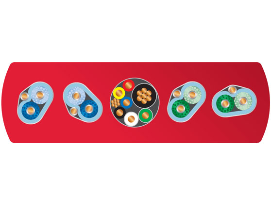 WireWorld Starlight 8 (S31C) - cecha 1